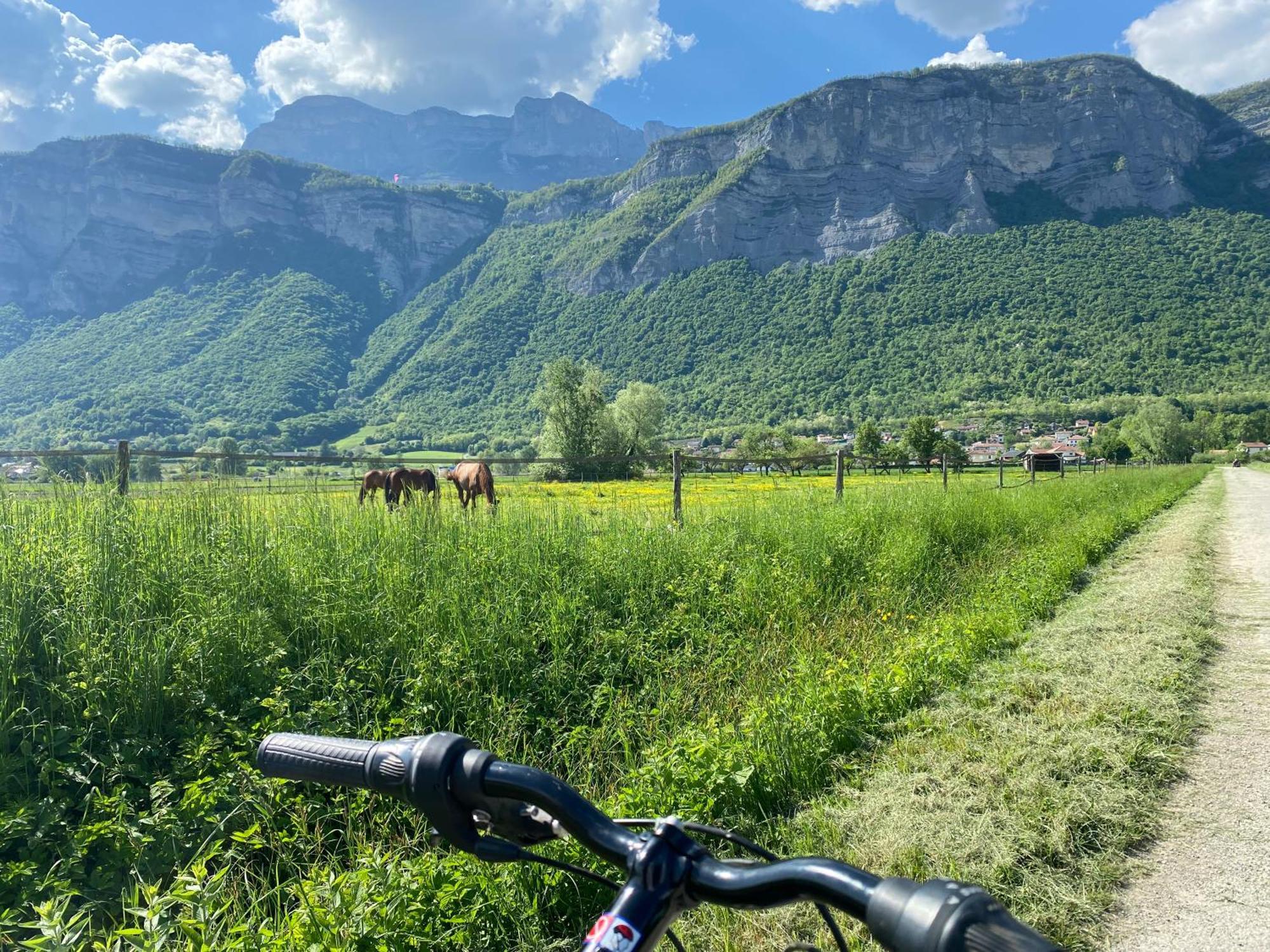 Maison De Village Au Pied De La Montagne Lumbin エクステリア 写真